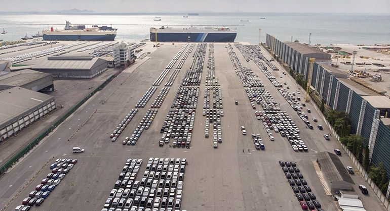 Для чего привозят