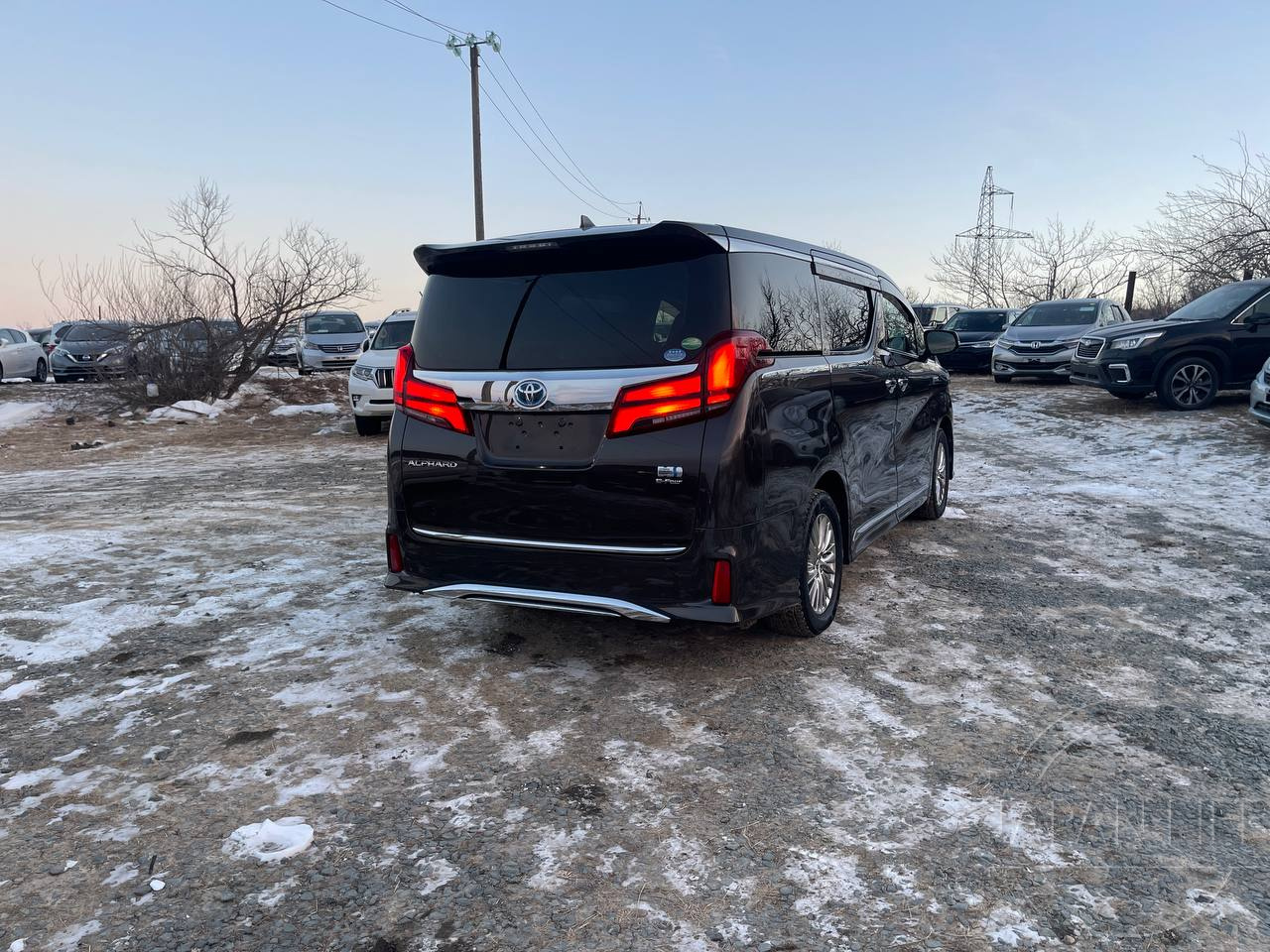 Фото Toyota Alphard - Japan Life 