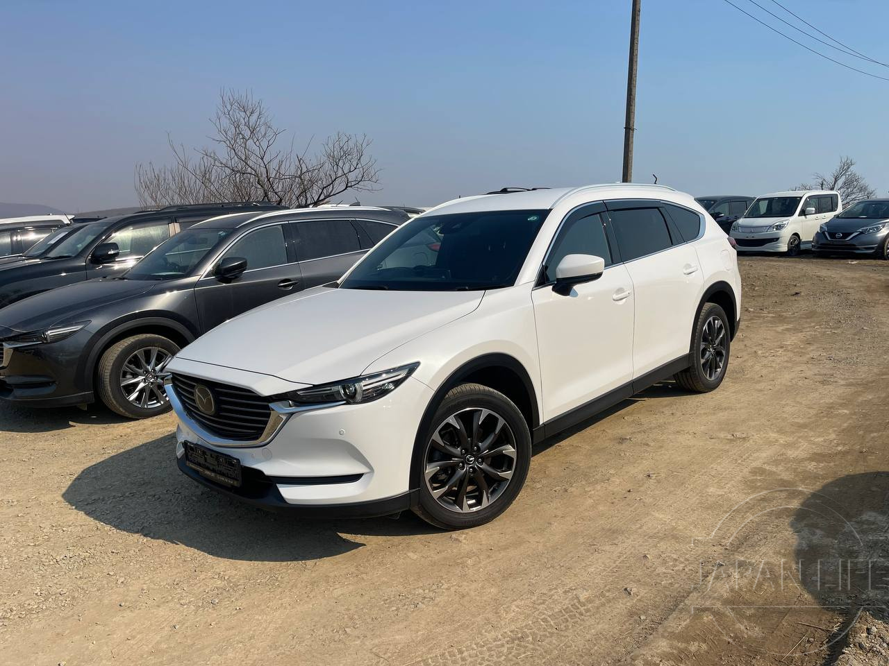 Фото Mazda CX-8 - Japan Life 