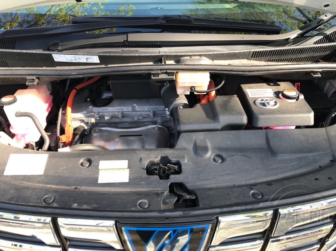 Фото Toyota Alphard Executive Lounge - Japan Life 