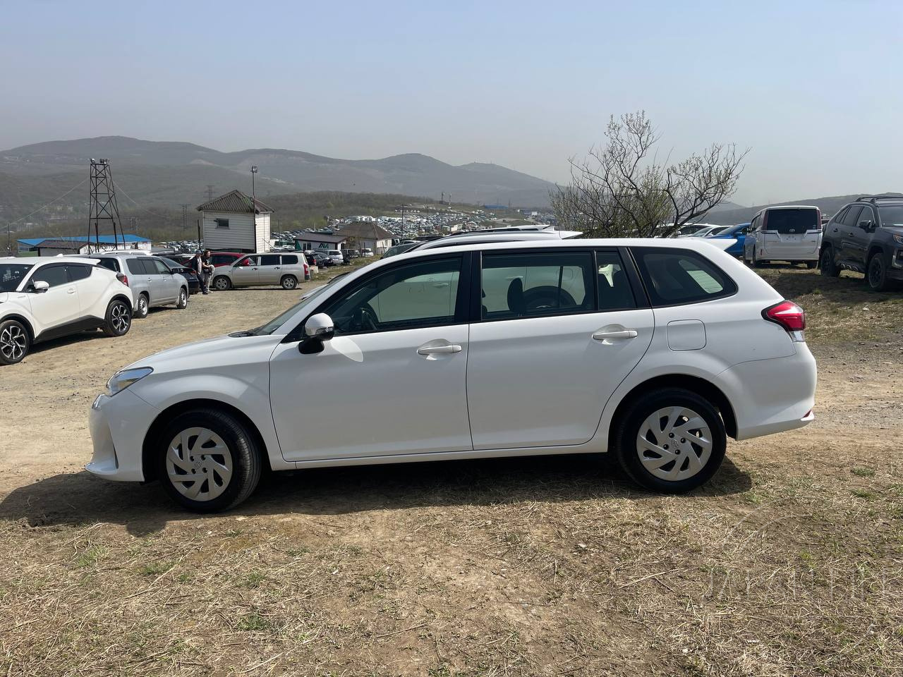 Фото Toyota Corolla Fielder - Japan Life 