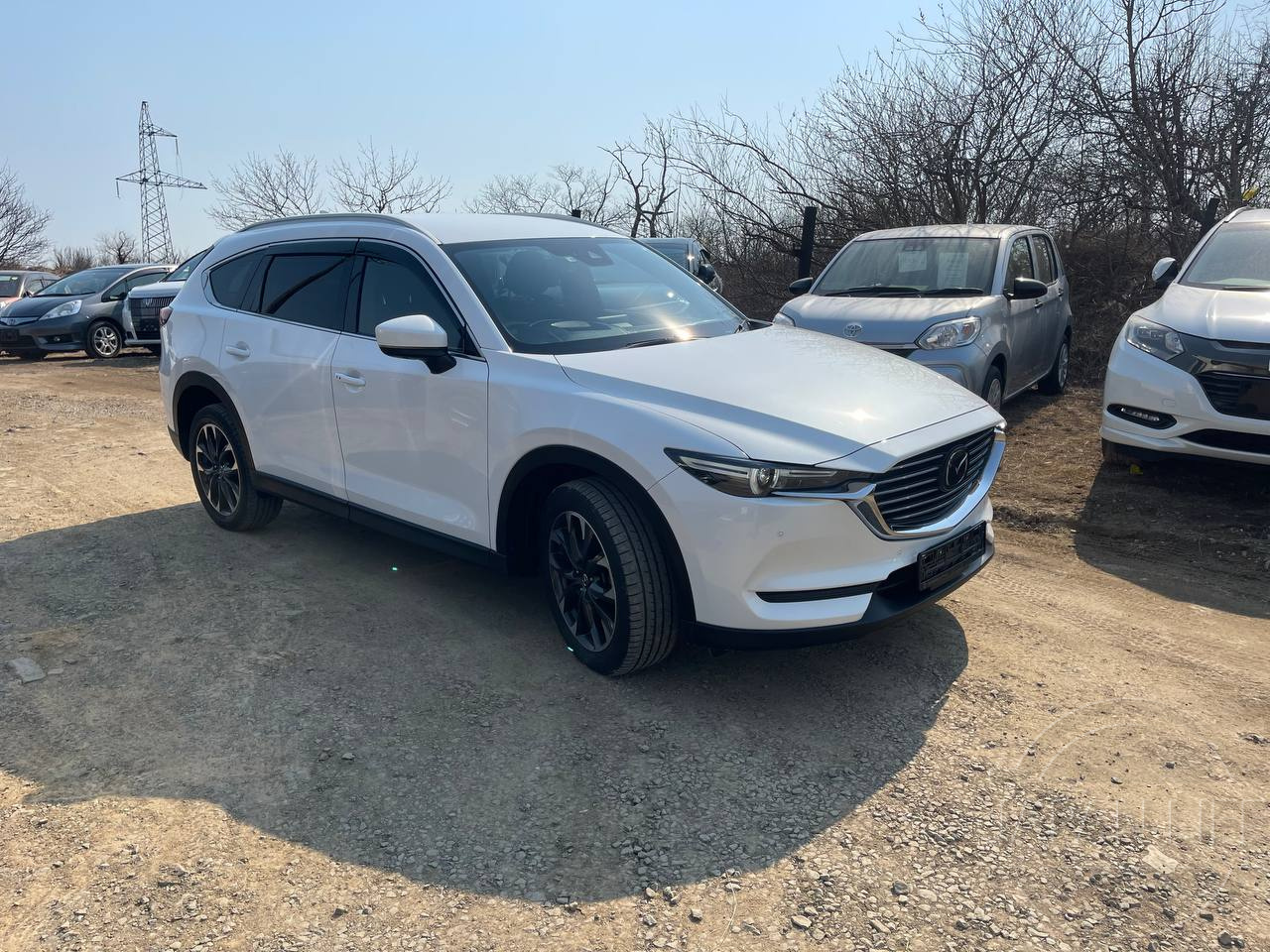 Фото Mazda CX-8 - Japan Life 