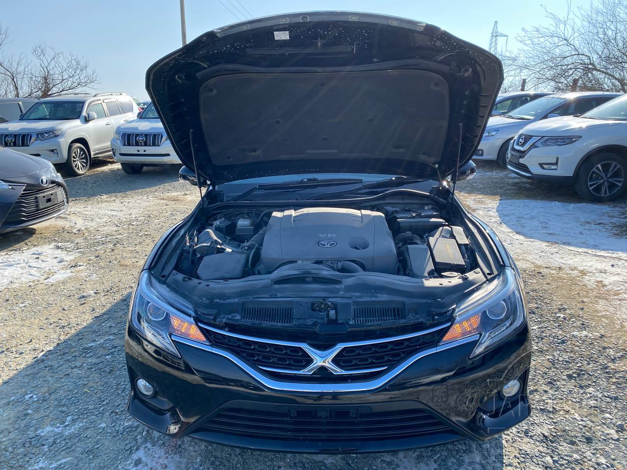 Фото Toyota Mark X - Japan Life 