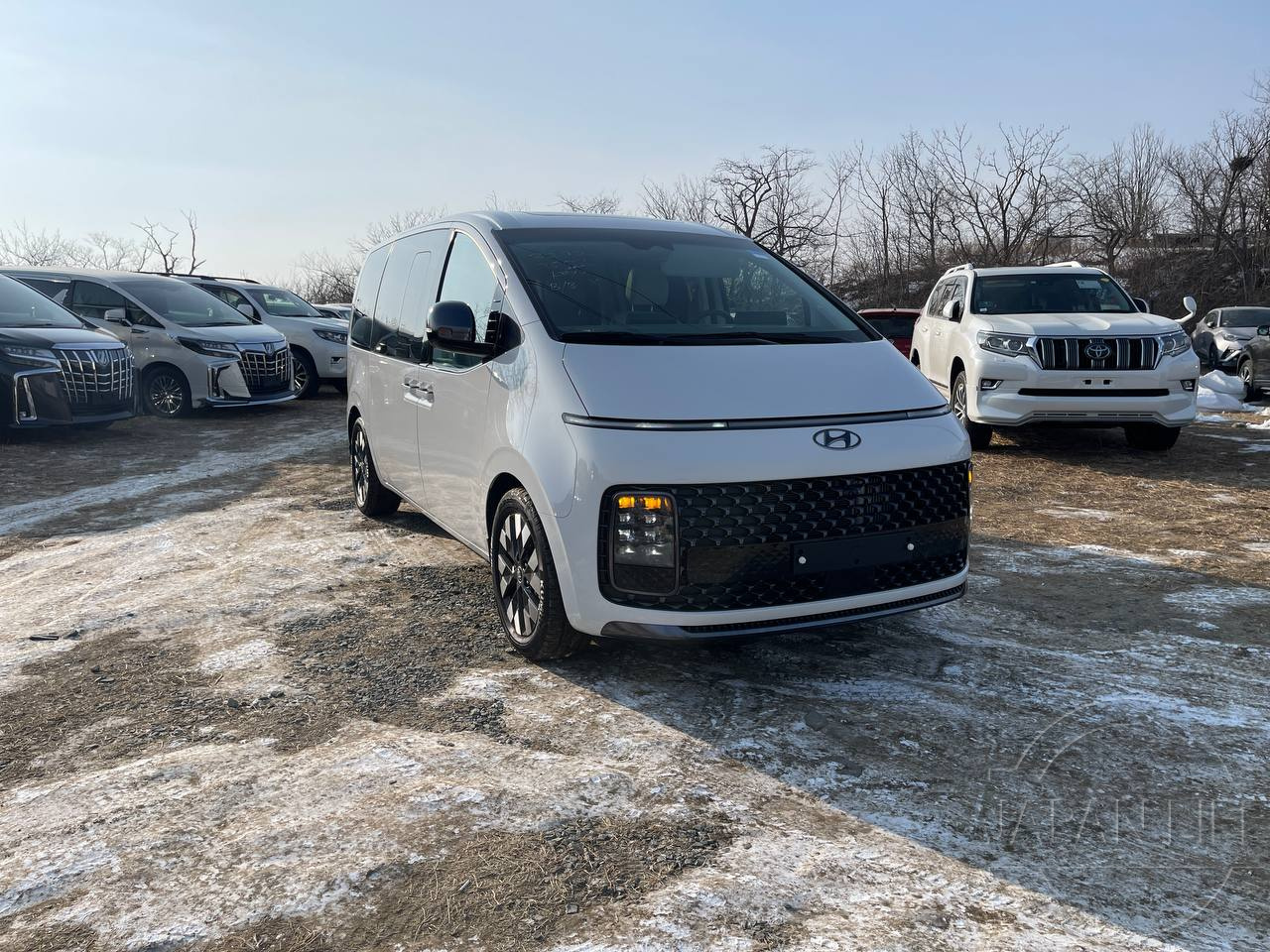 Фото Hyundai Staria - Japan Life 