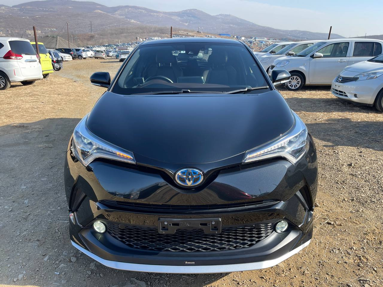 Фото Toyota C-HR - Japan Life 