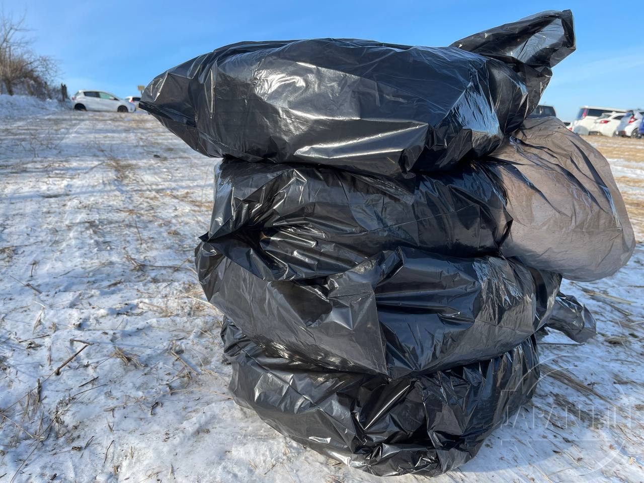 Фото Honda Freed+ - Japan Life 