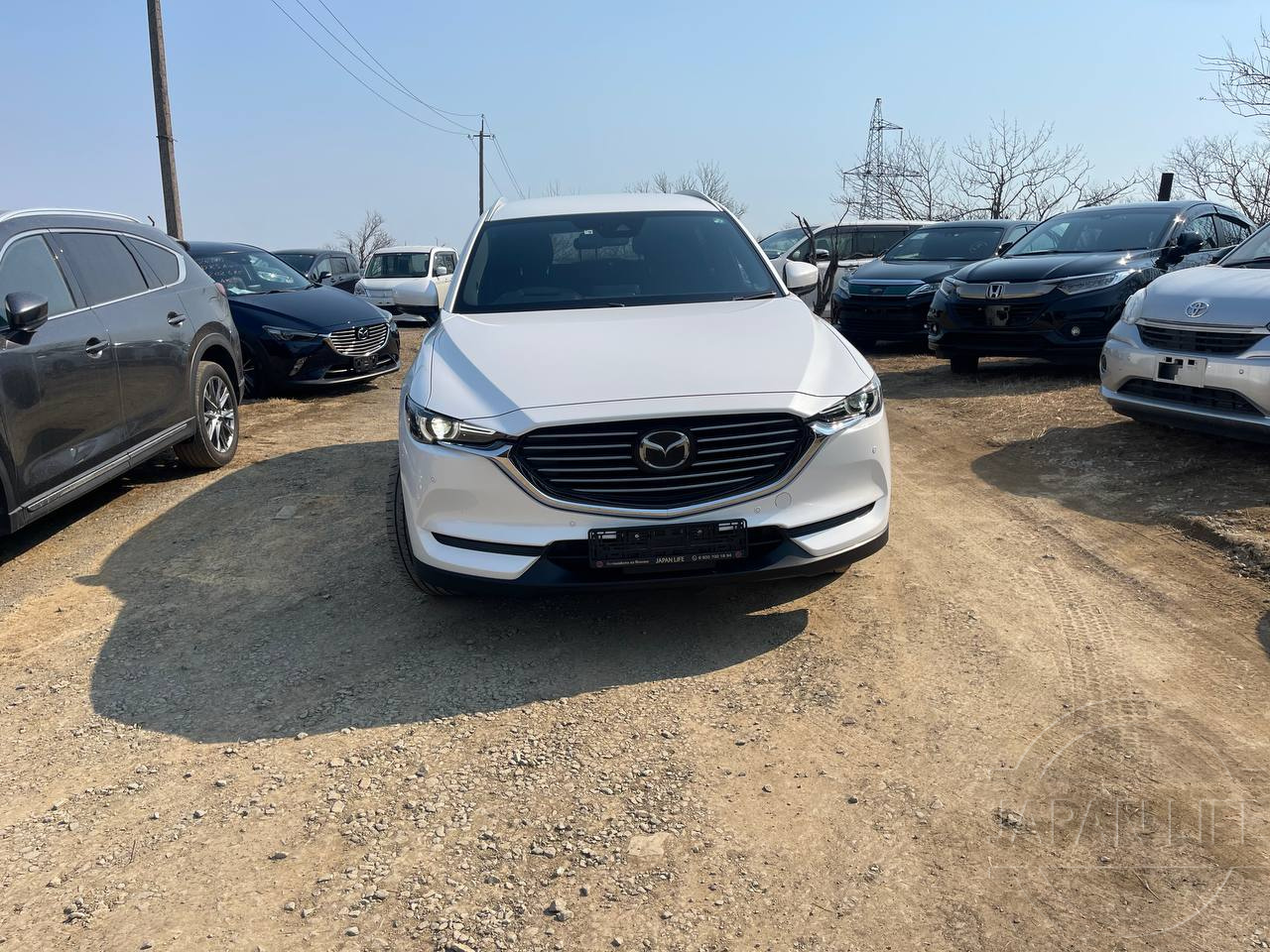 Фото Mazda CX-8 - Japan Life 