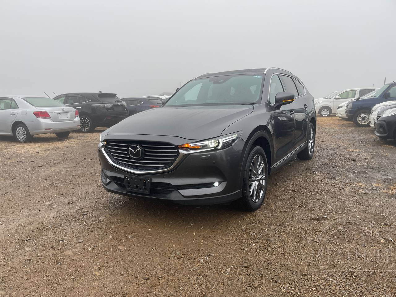 Фото Mazda CX-8 - Japan Life 