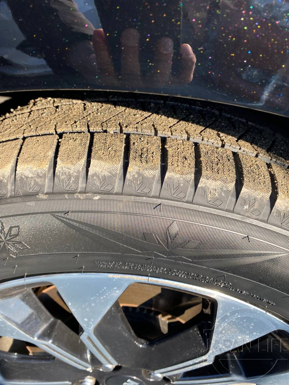 Фото Kia Carnival - Japan Life 