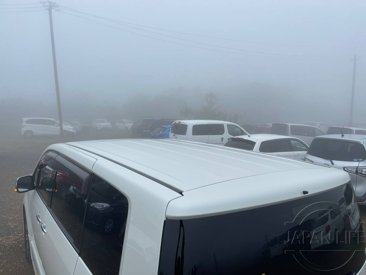 Фото Mitsubishi Delica D:5 - Japan Life 