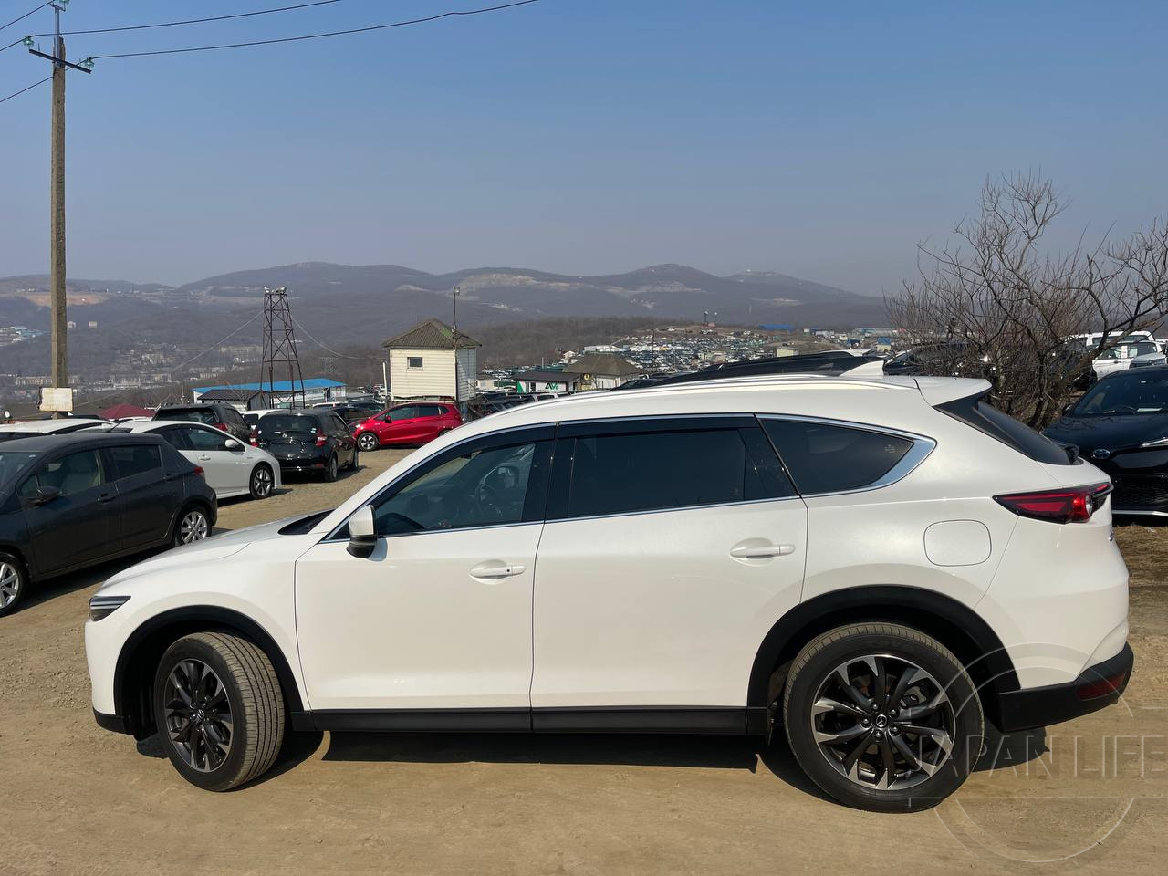 Фото Mazda CX-8 - Japan Life 