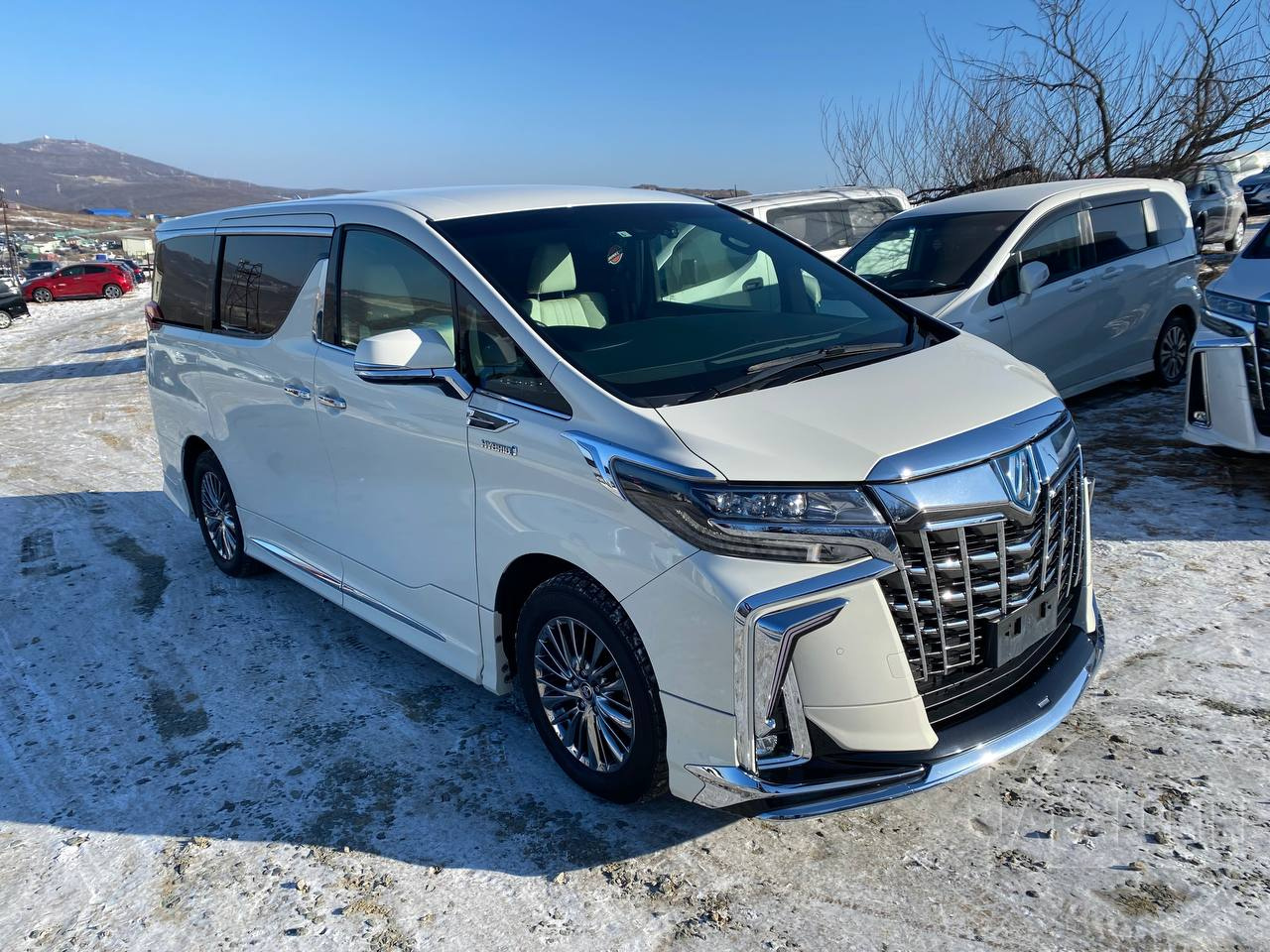 Фото Toyota Alphard - Japan Life 