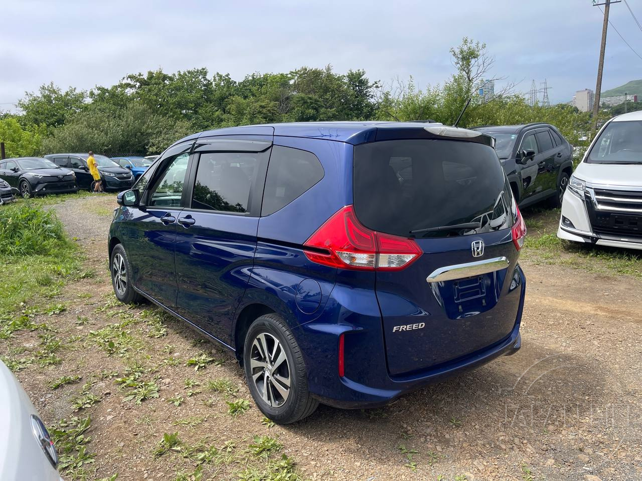 Фото Honda Freed - Japan Life 