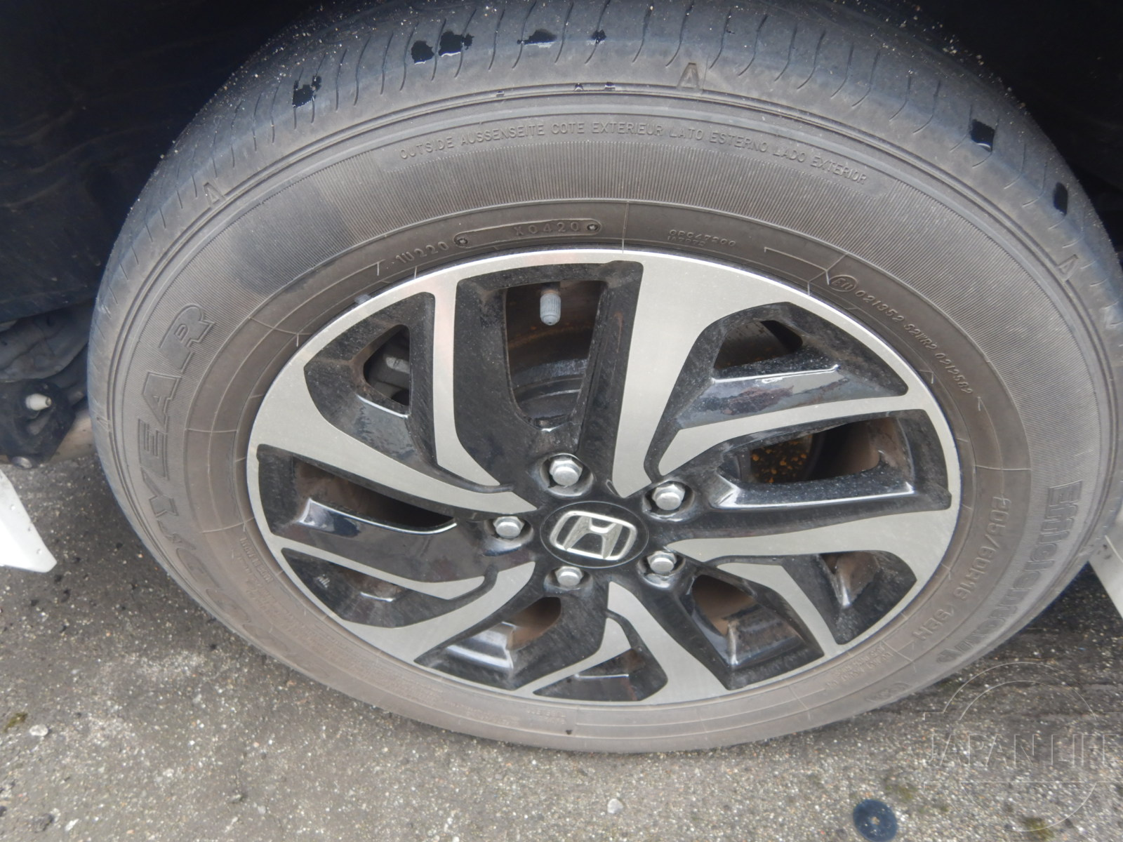 Фото Honda Stepwgn - Japan Life 