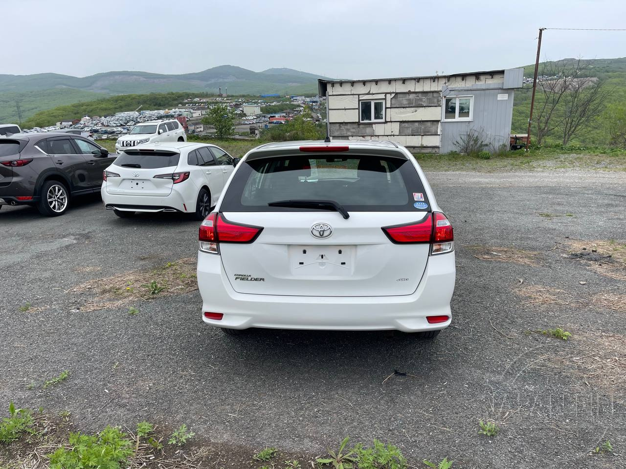 Фото Toyota Corolla Fielder - Japan Life 