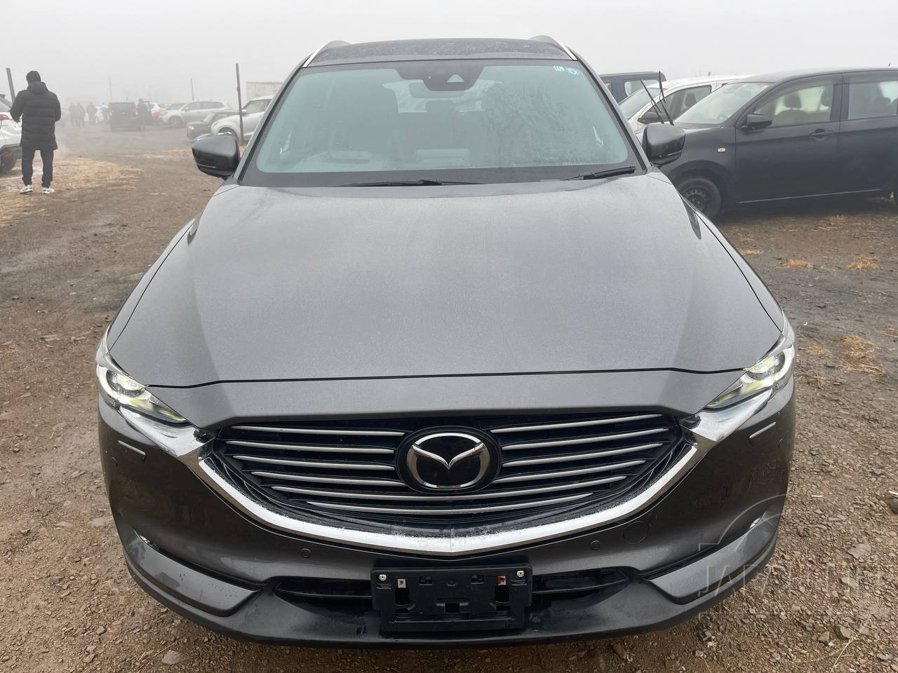 Фото Mazda CX-8 - Japan Life 