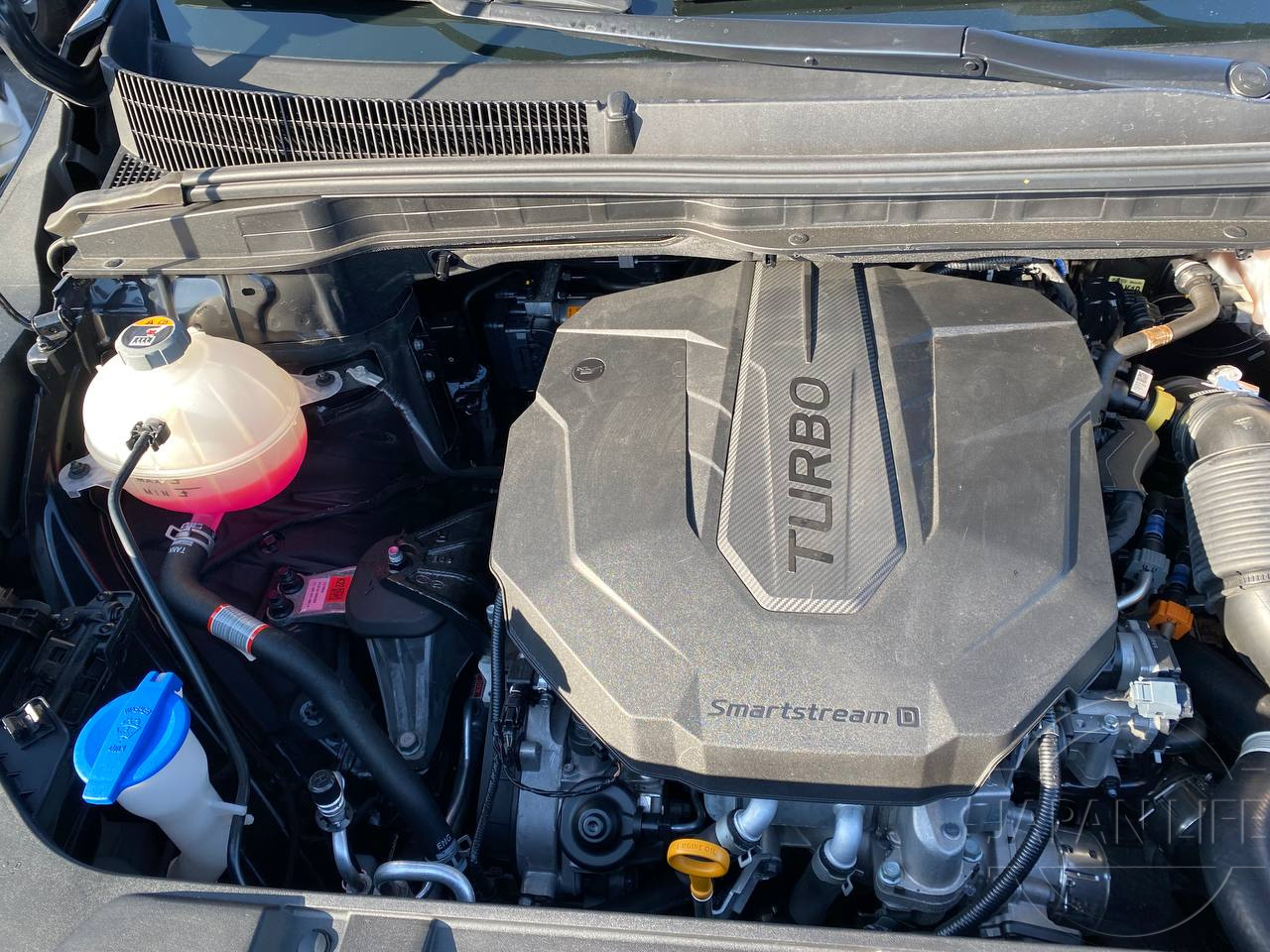 Фото Kia Carnival - Japan Life 