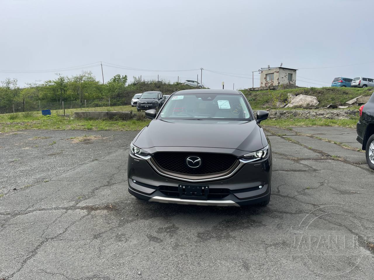 Фото Mazda CX-5 - Japan Life 