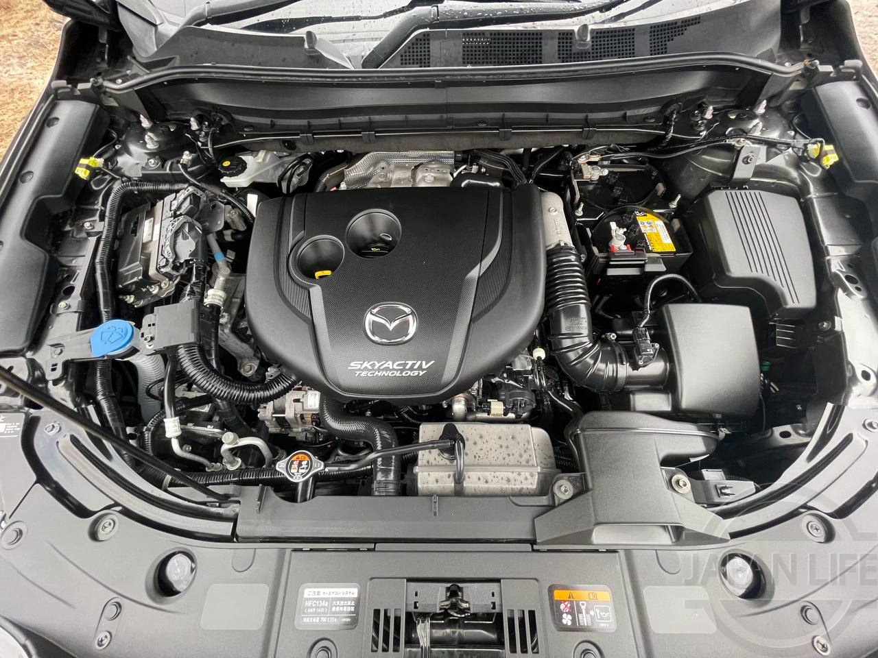 Фото Mazda CX-8 - Japan Life 