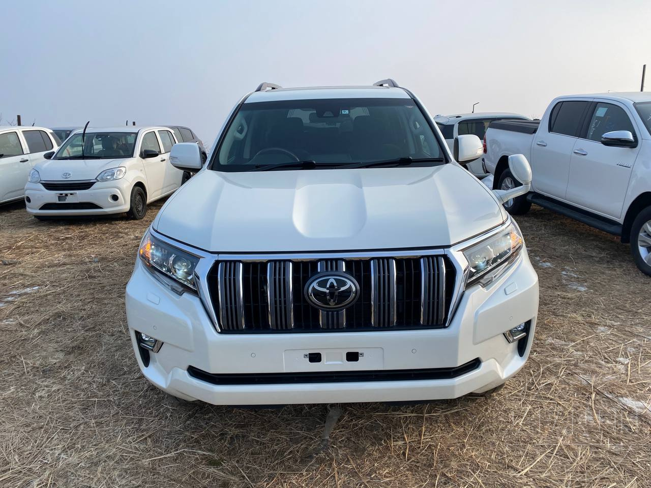 Фото Toyota Land Cruiser Prado - Japan Life 