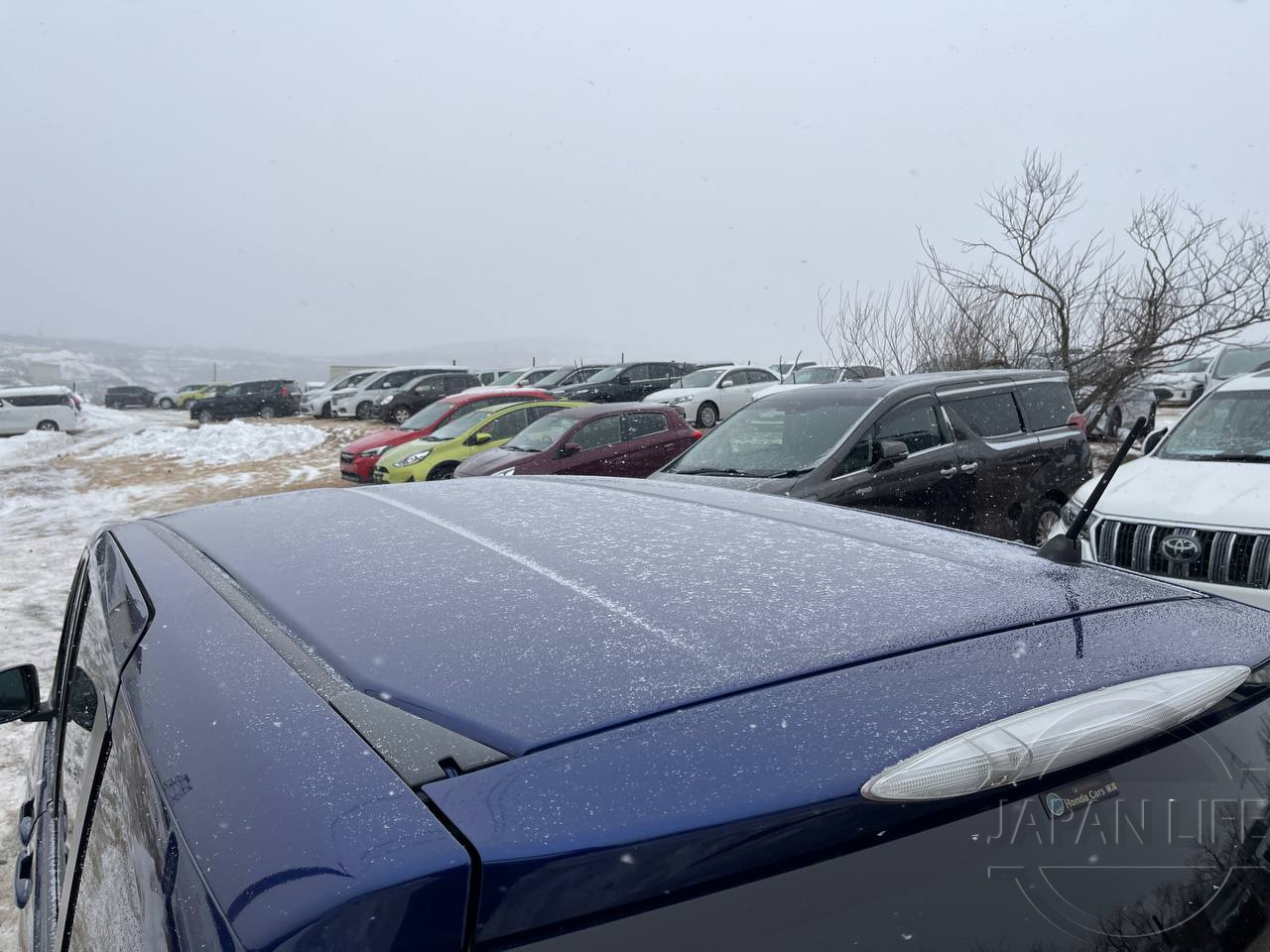 Фото Honda Freed - Japan Life 