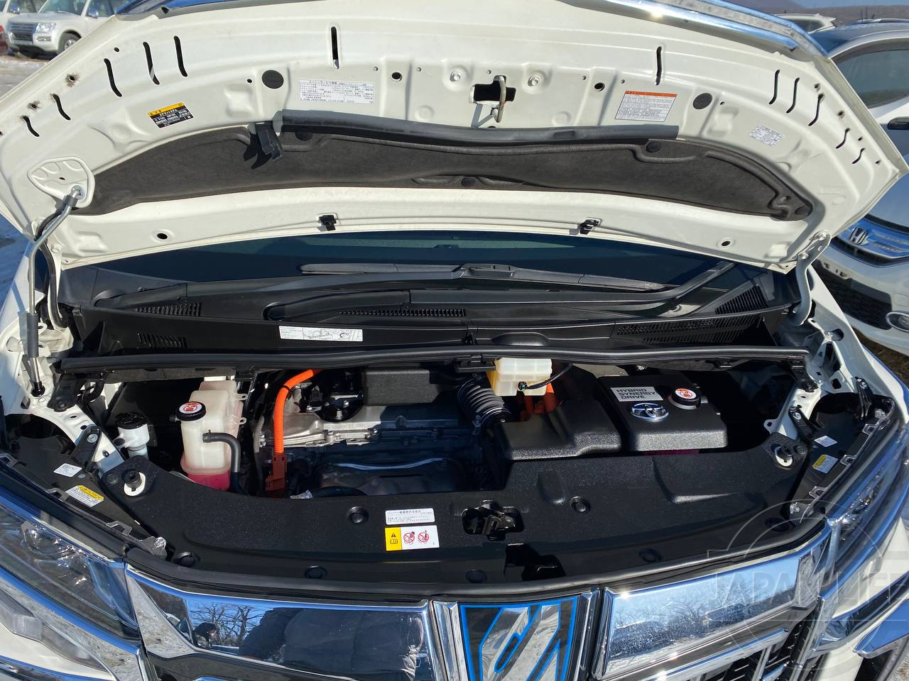 Фото Toyota Alphard - Japan Life 