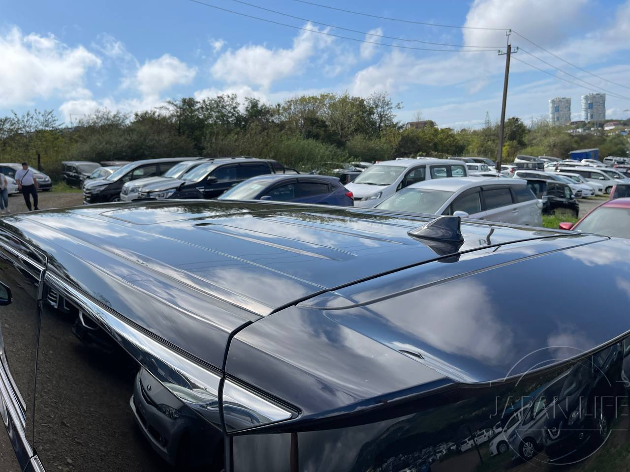 Фото Toyota Alphard - Japan Life 