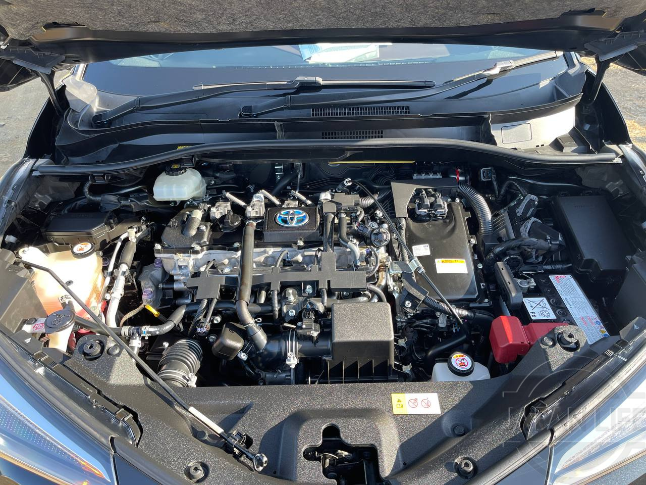 Фото Toyota C-HR - Japan Life 