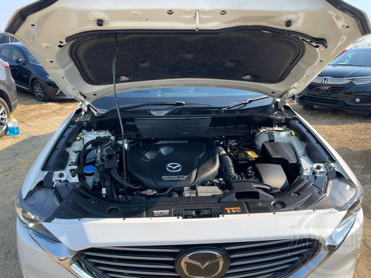 Фото Mazda CX-8 - Japan Life 