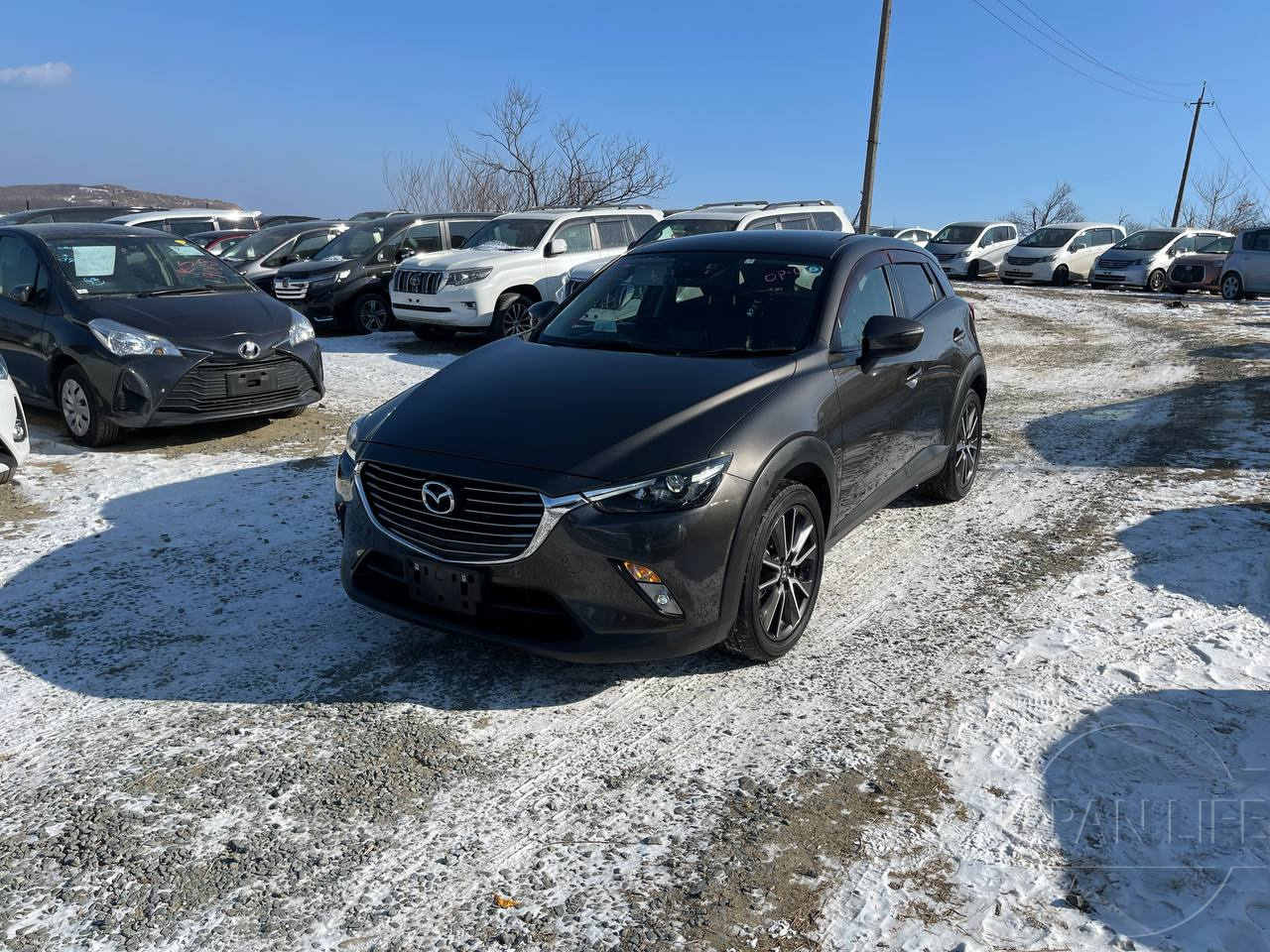 Фото Mazda CX-3 - Japan Life 