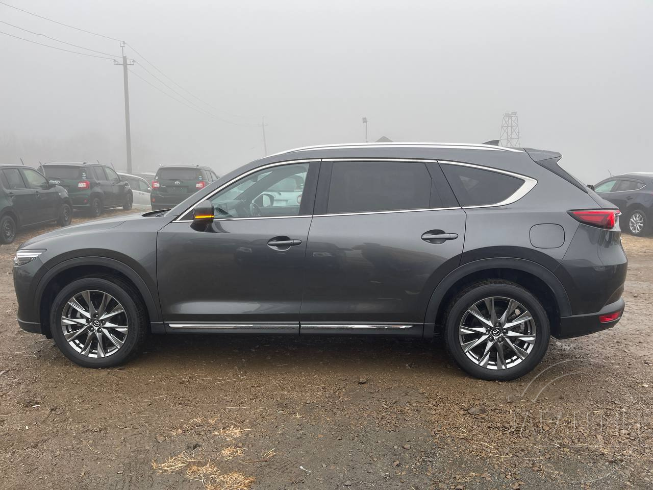 Фото Mazda CX-8 - Japan Life 