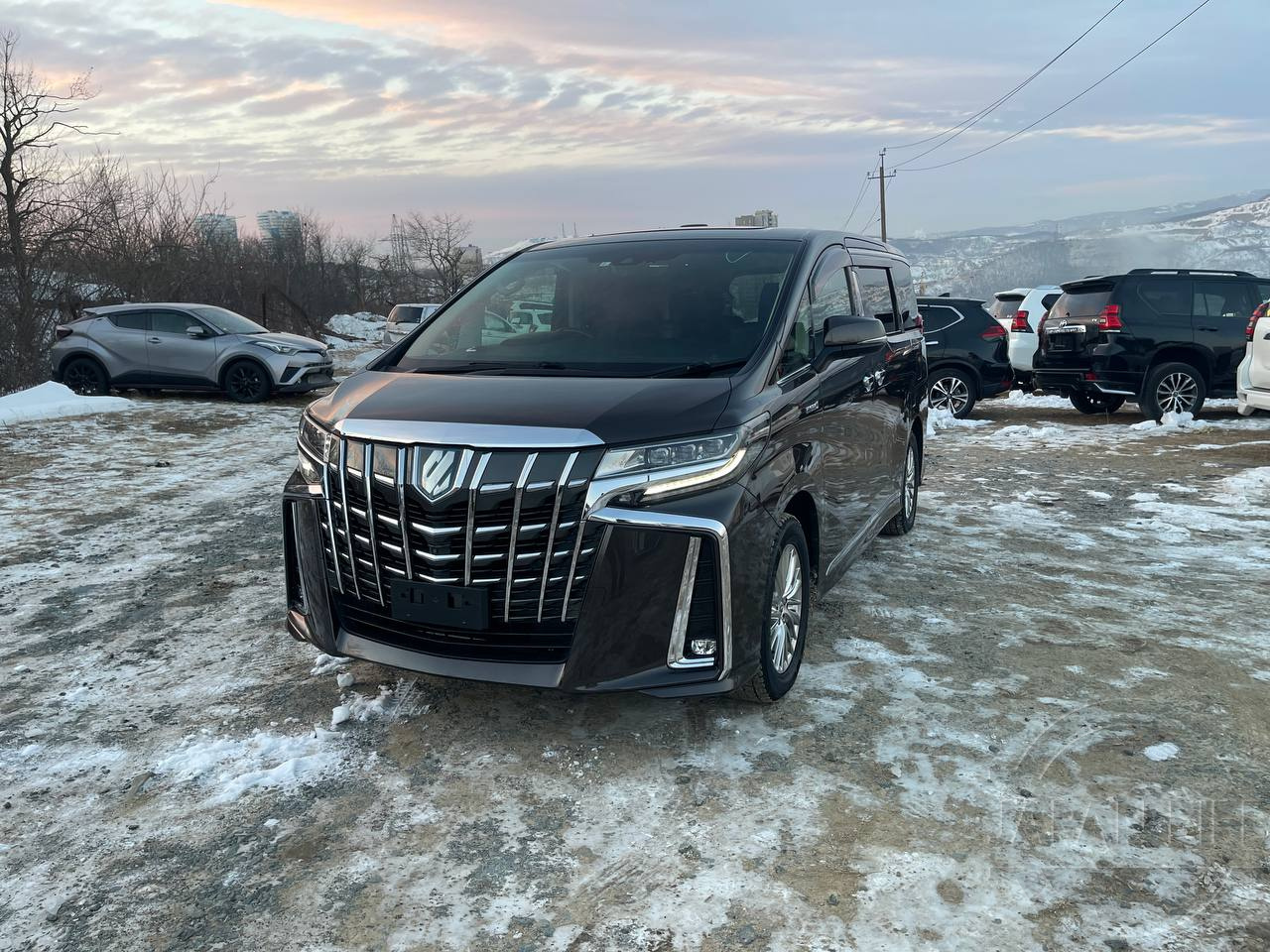 Фото Toyota Alphard - Japan Life 