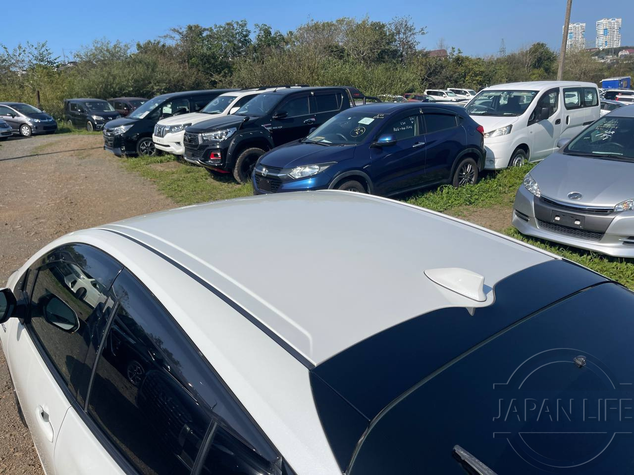 Фото Toyota Prius - Japan Life 