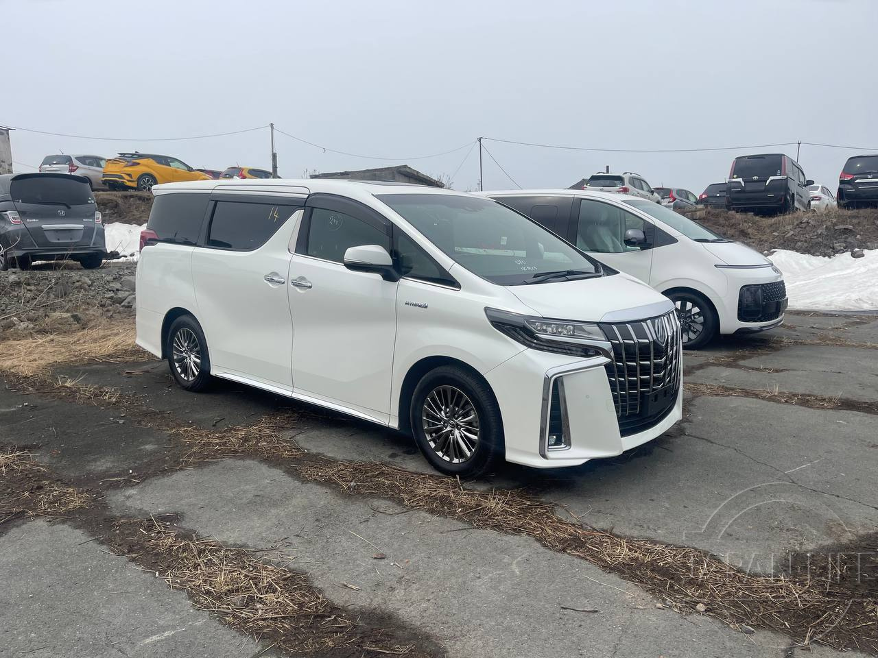 Фото Toyota Alphard - Japan Life 