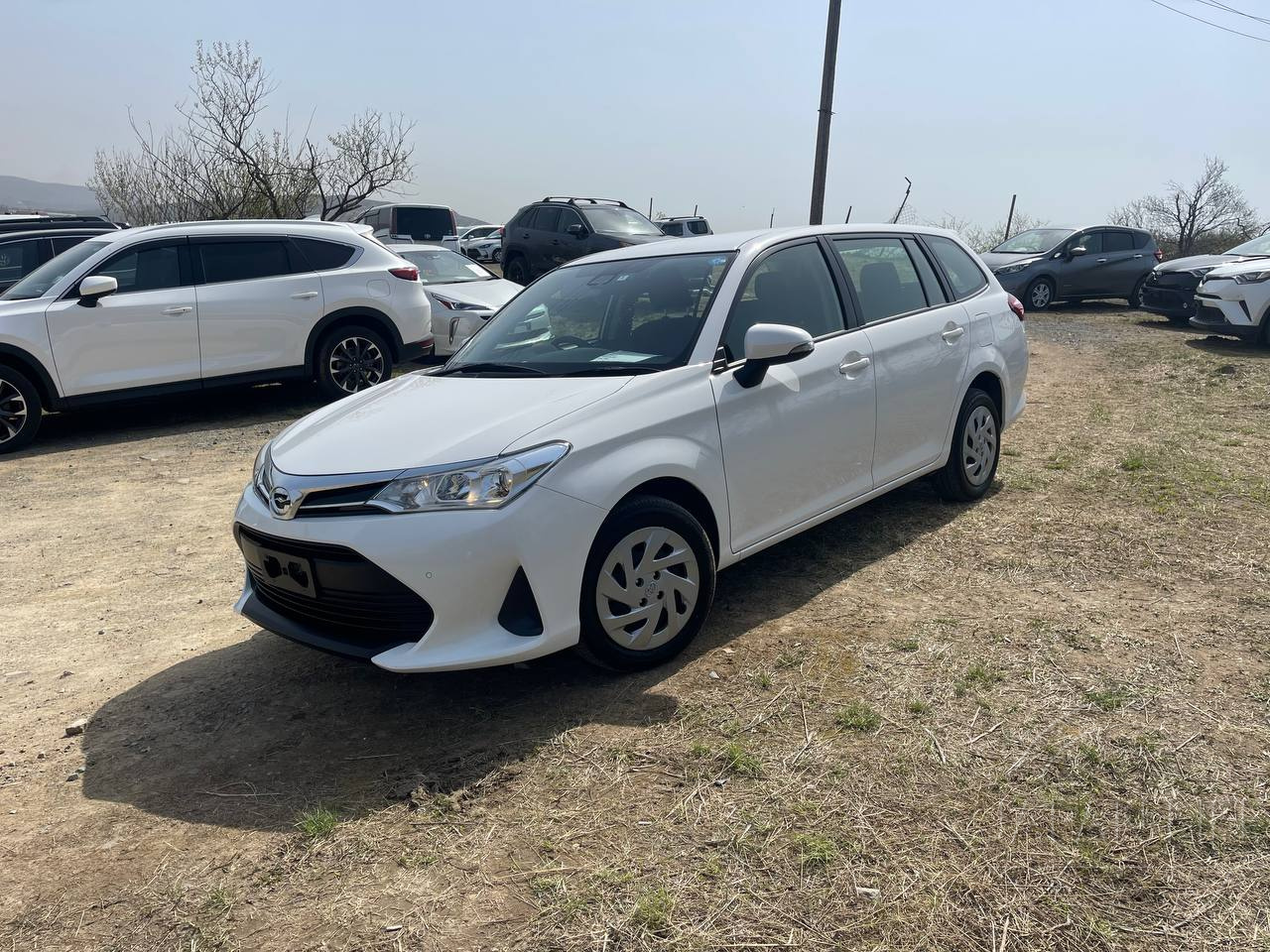 Фото Toyota Corolla Fielder - Japan Life 