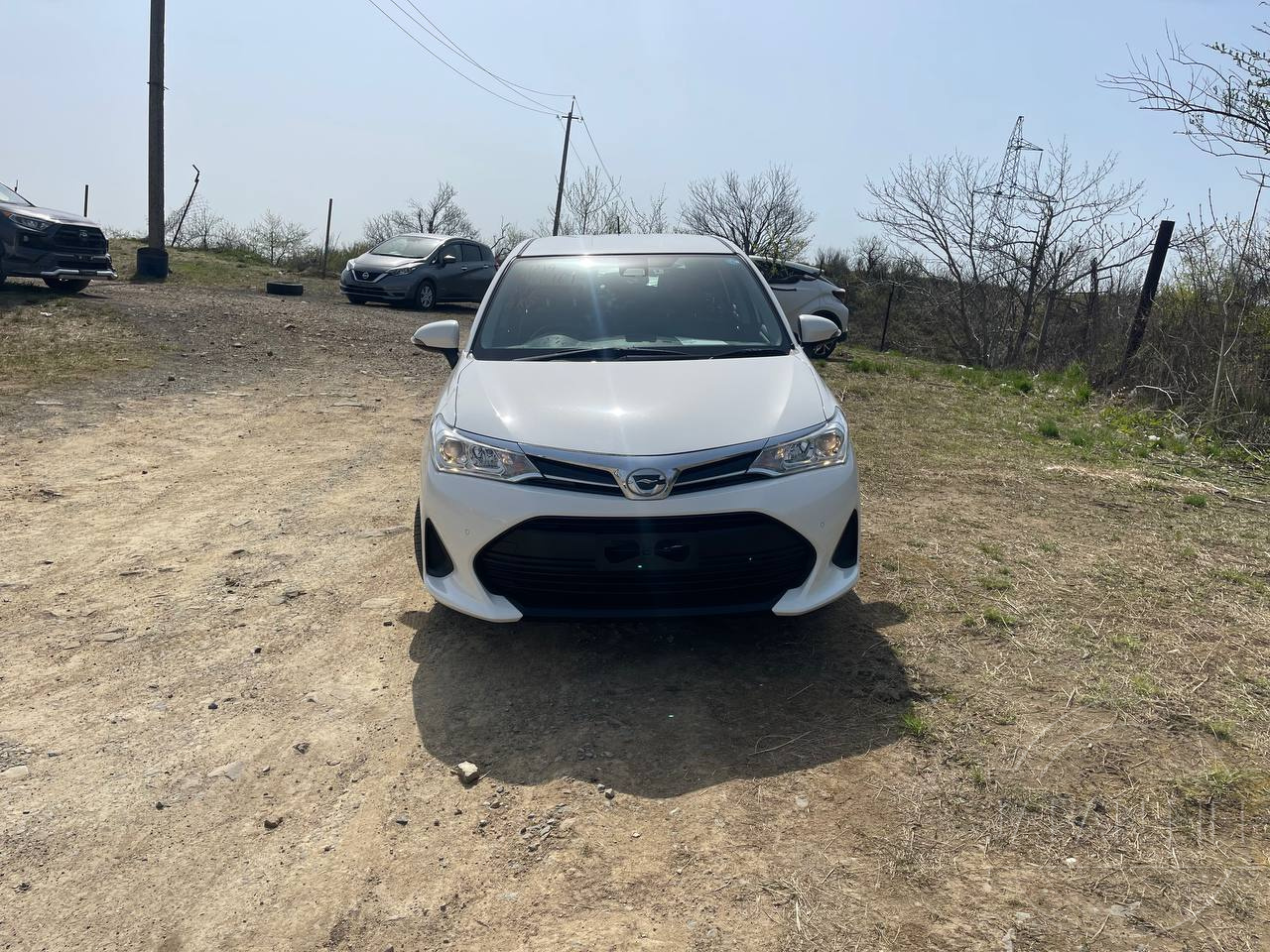 Фото Toyota Corolla Fielder - Japan Life 