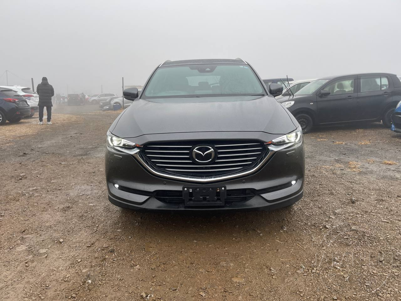 Фото Mazda CX-8 - Japan Life 