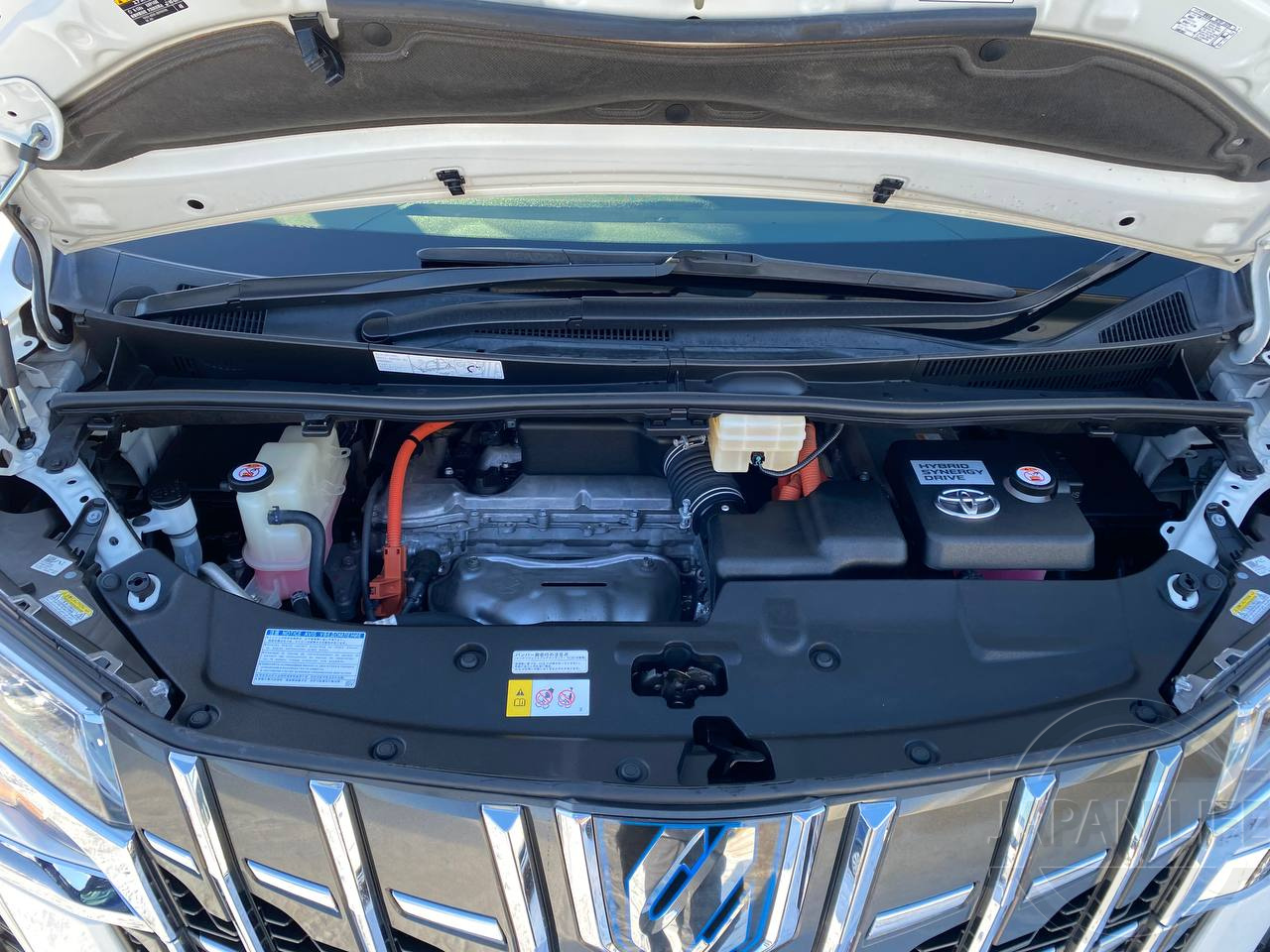 Фото Toyota Alphard - Japan Life 