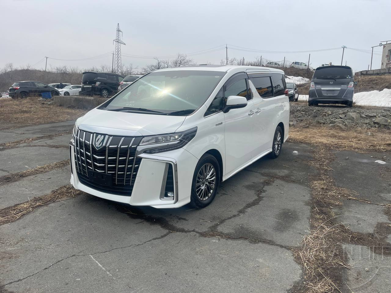 Фото Toyota Alphard - Japan Life 