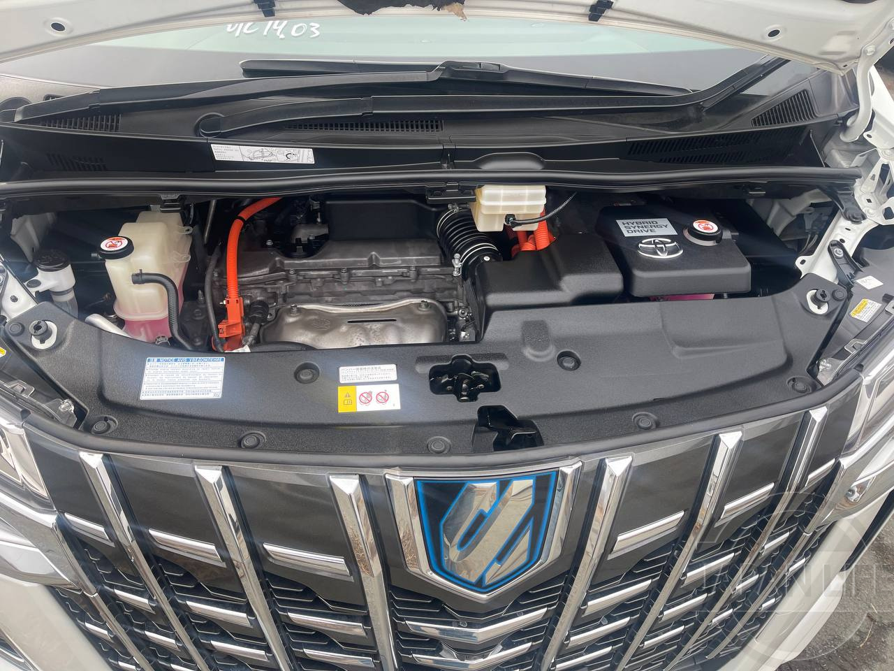 Фото Toyota Alphard - Japan Life 