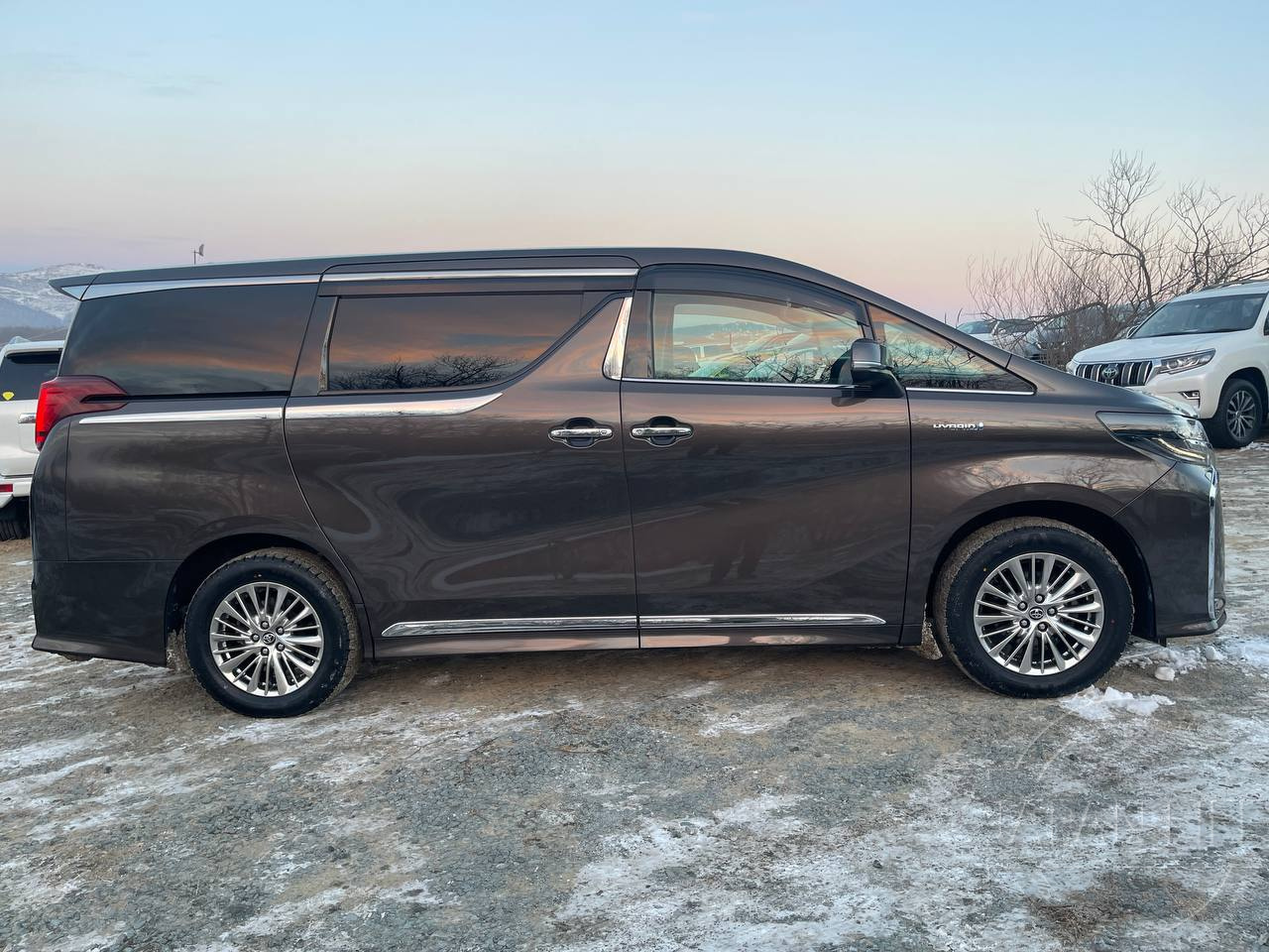 Фото Toyota Alphard - Japan Life 