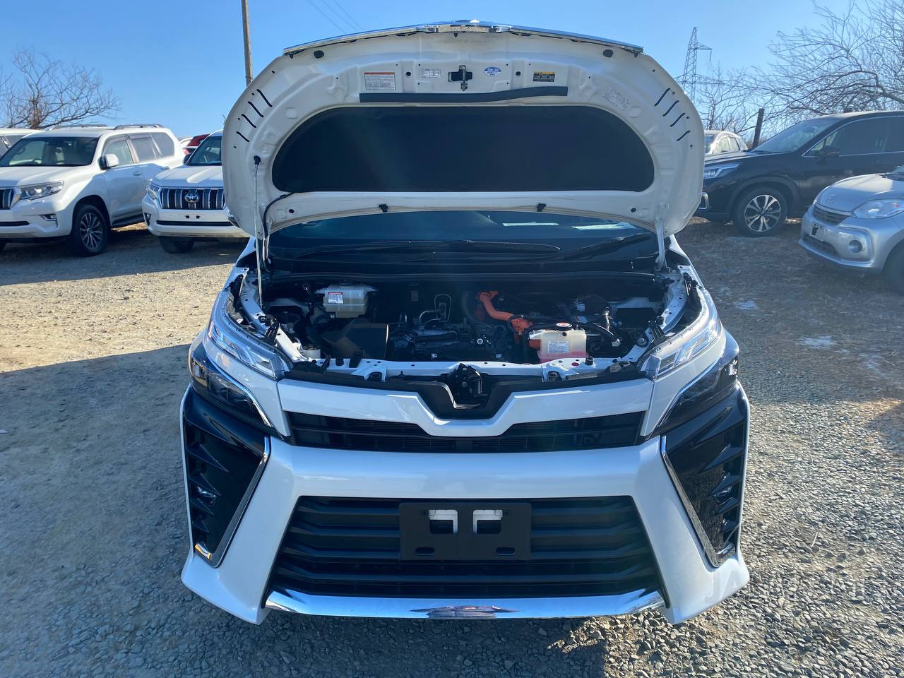 Фото Toyota Voxy - Japan Life 