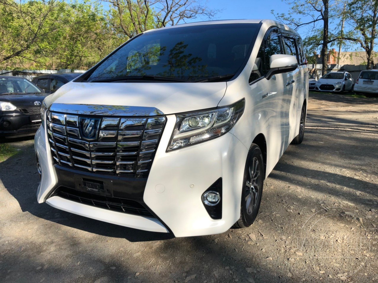 Фото Toyota Alphard Executive Lounge - Japan Life 