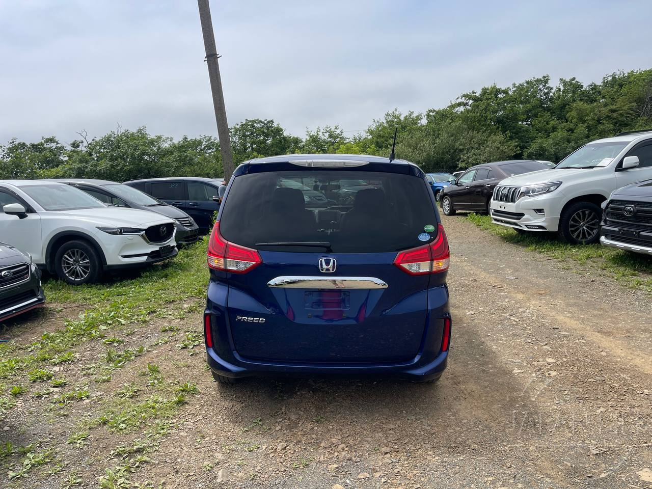 Фото Honda Freed - Japan Life 