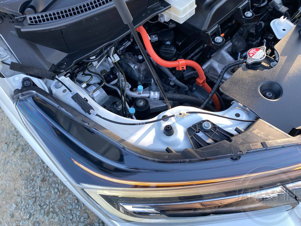 Фото Honda Stepwgn - Japan Life 