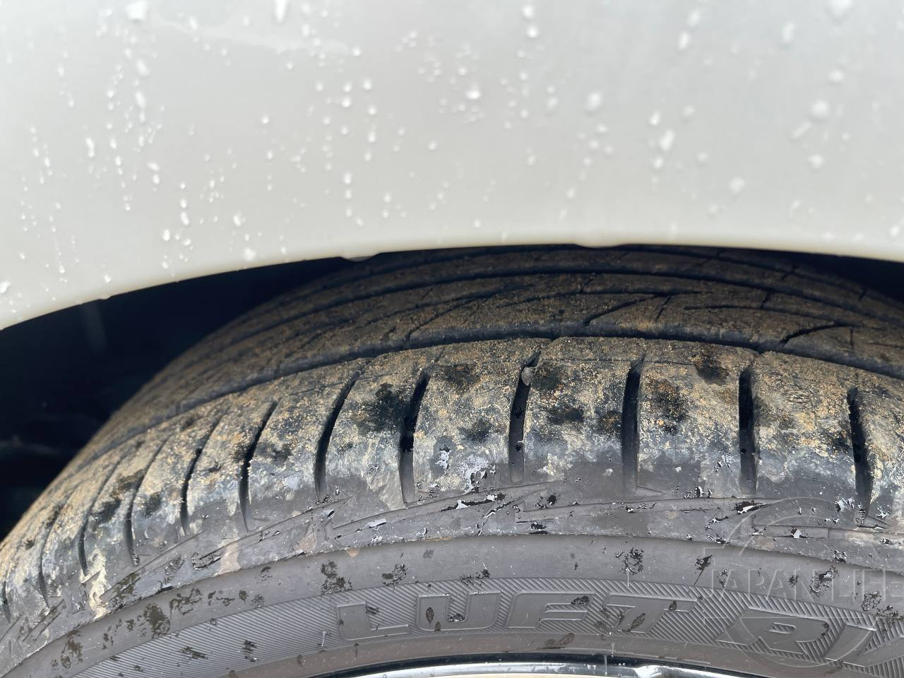 Фото Honda Stepwgn - Japan Life 