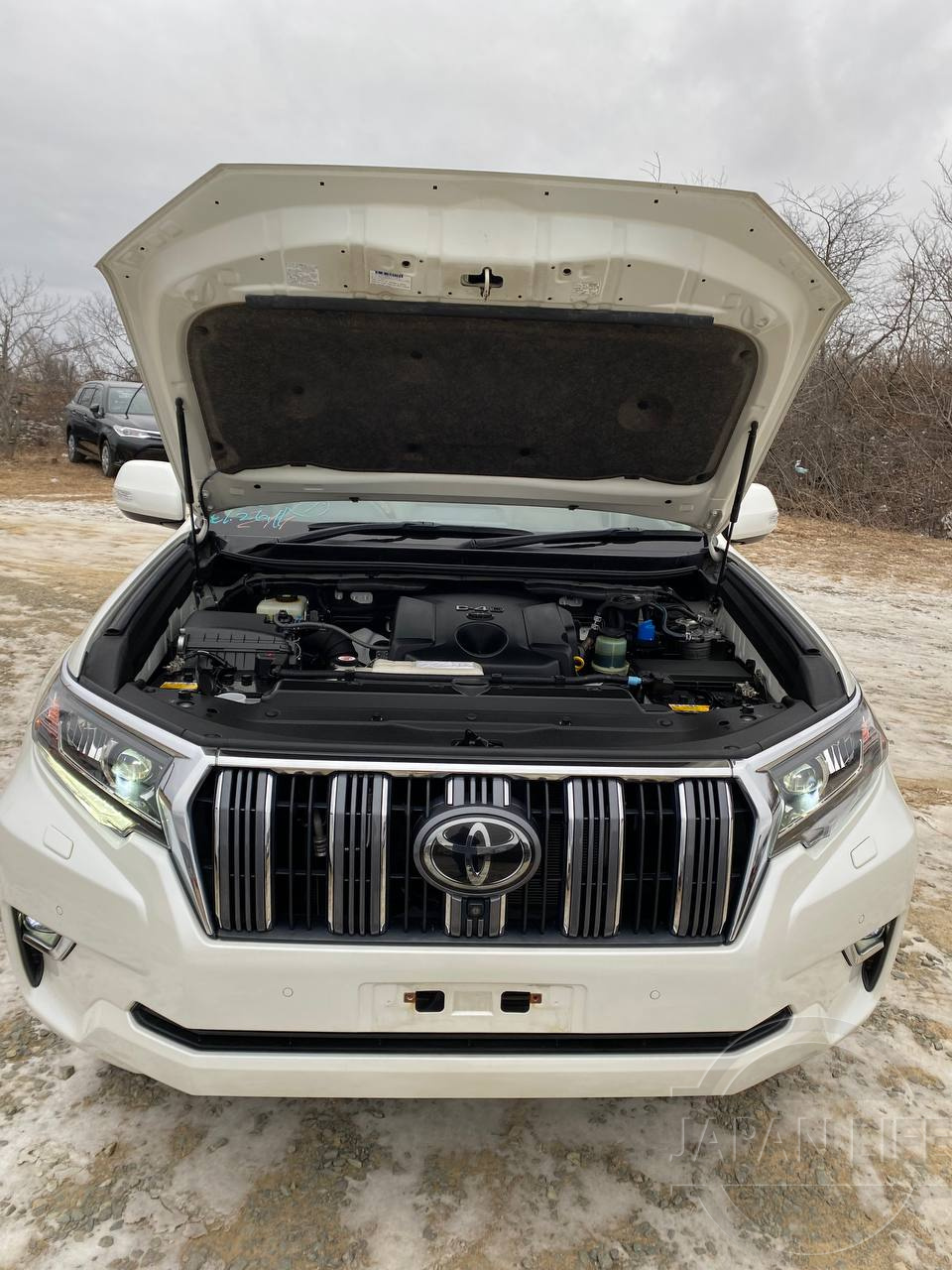 Фото Toyota Land Cruiser Prado - Japan Life 