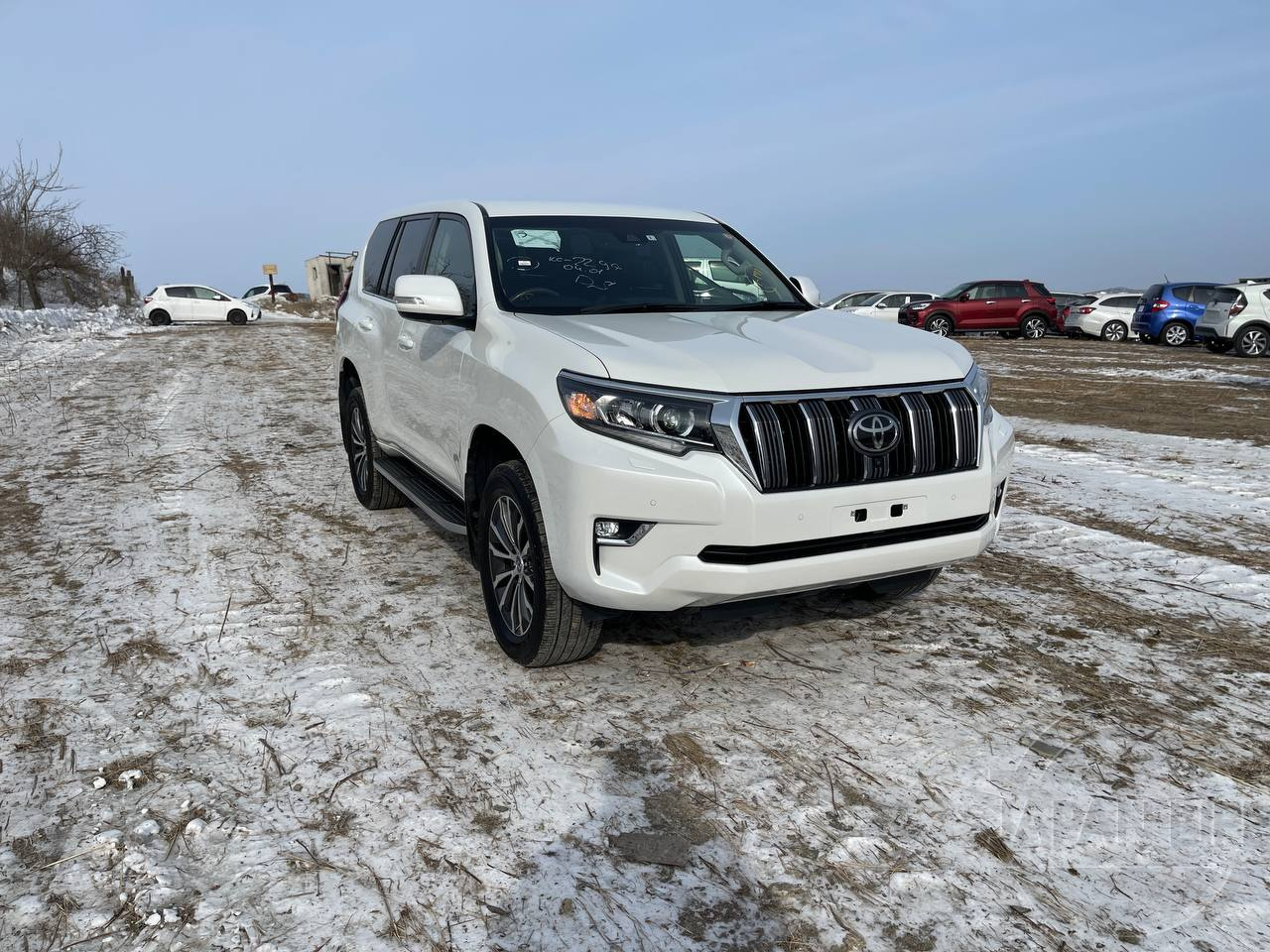 Фото Toyota Land Cruiser Prado - Japan Life 