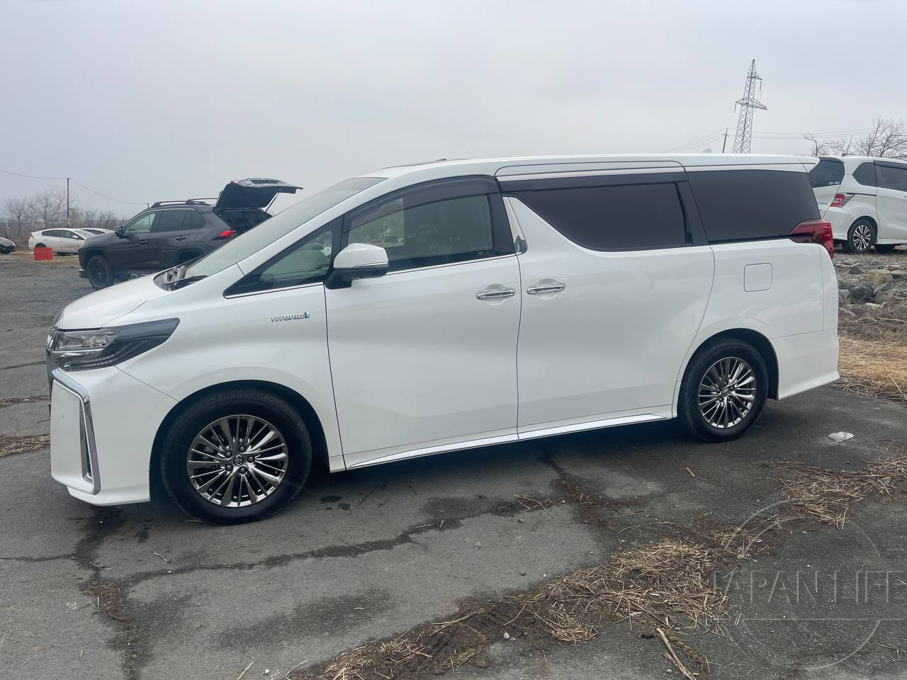 Фото Toyota Alphard - Japan Life 