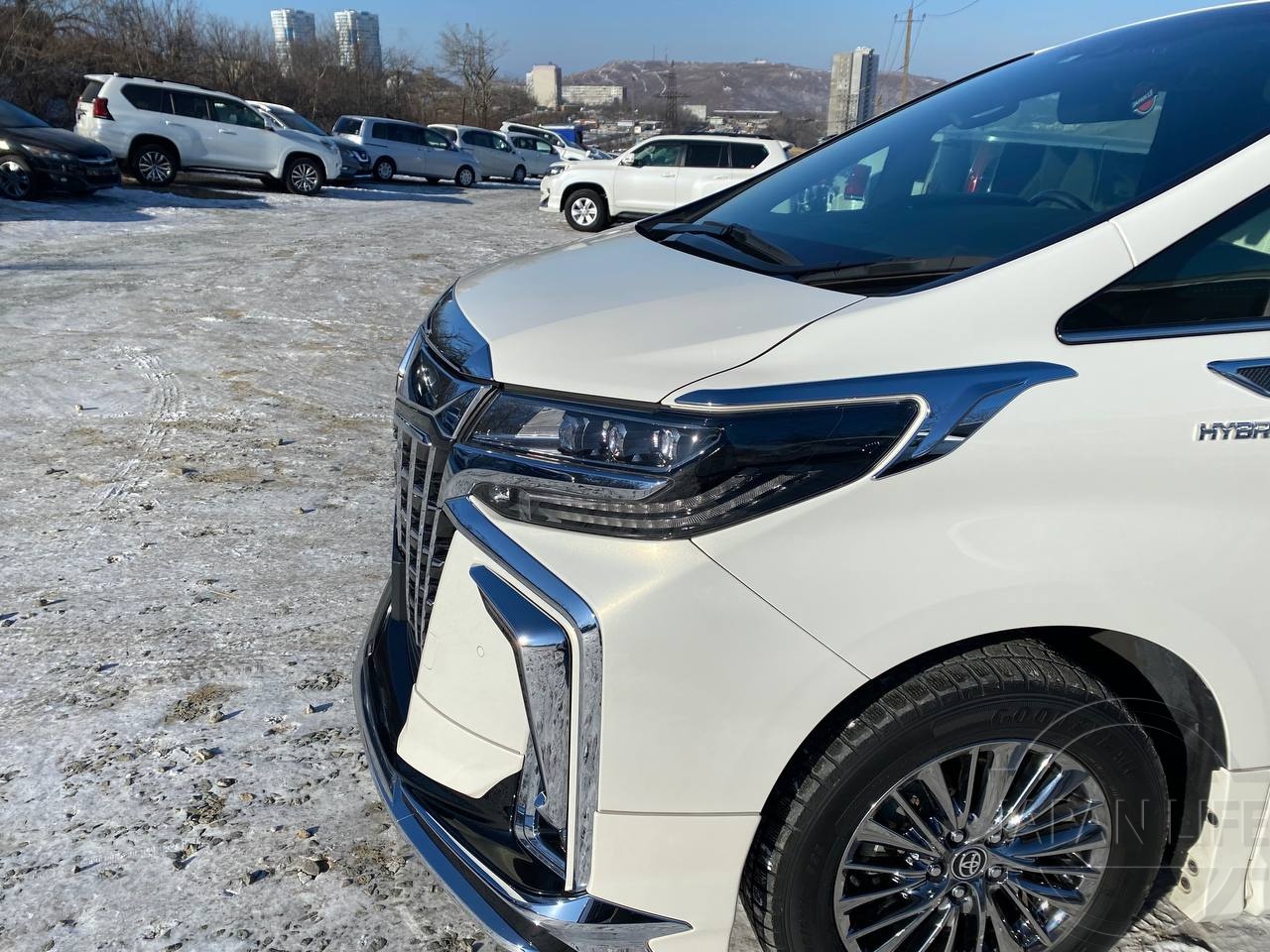 Фото Toyota Alphard - Japan Life 